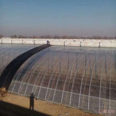 溫室大棚薄膜 選擇與維護的最佳指南