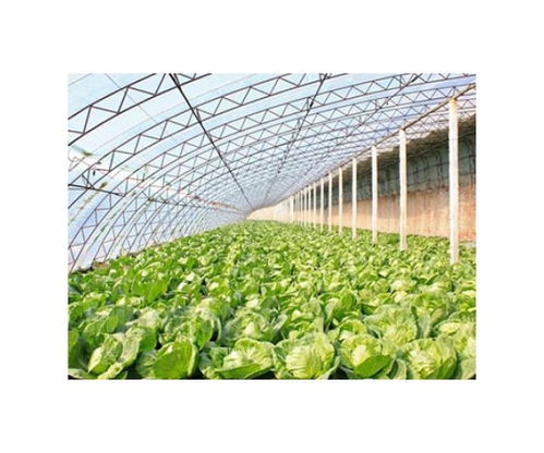 吳縣生態玻璃大棚廠家及大棚薄膜選購指南